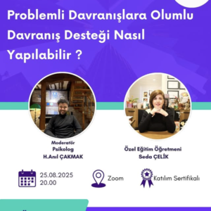 Problemli Davranışlara Olumlu Davranış Desteği Nasıl Yapılabilir?